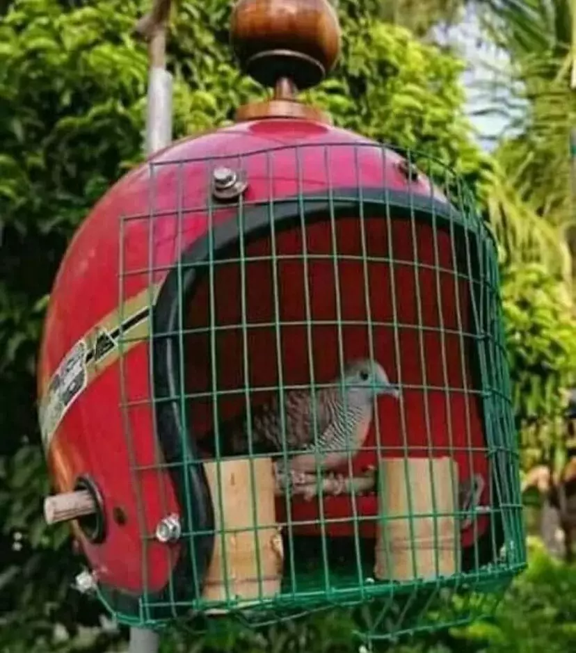 helm dipakai buat lifehack nyeleneh banget © berbagai sumber helm dipakai buat lifehack nyeleneh banget © berbagai sumber