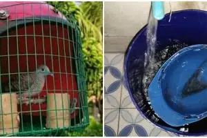 11 Lifehack pakai helm ini idenya bikin nggak habis pikir