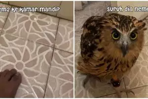 Takut ke kamar mandi, pria ini minta ditemani sosok tak terduga