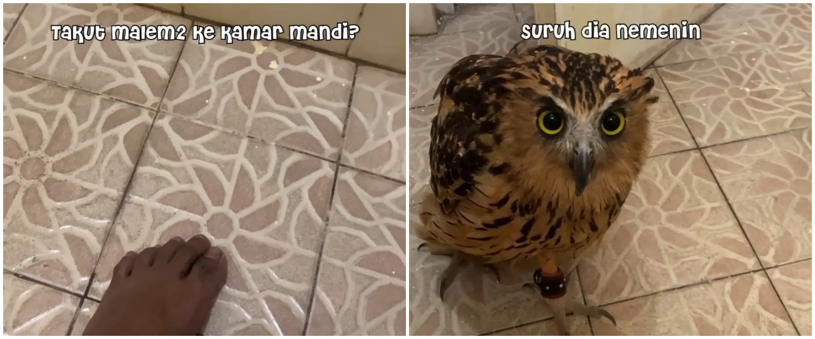 Takut ke kamar mandi, pria ini minta ditemani sosok tak terduga