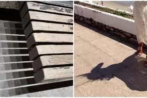 11 Potret bayangan benda ini penampakannya estetik abis