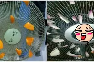 11 Potret kocak pengharum ruangan di kipas angin ini nggak habis pikir