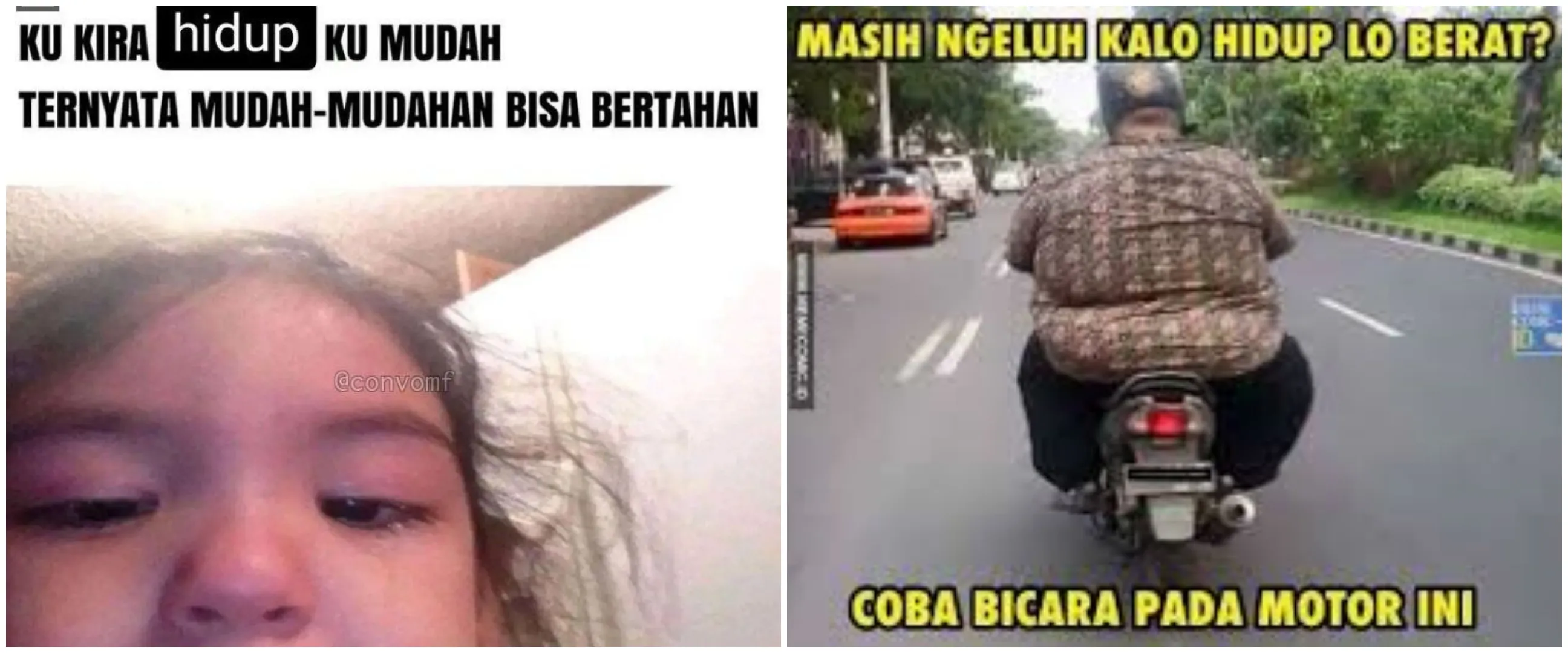 15 Meme lucu tentang lika-liku kehidupan ini bikin senyum kecut