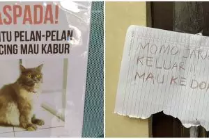 11 Peringatan lucu kucing dilarang keluar ini bikin senyum tipis