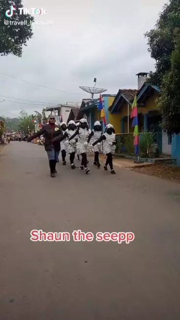 ibu-ibu jadi shaun the sheep © berbagai sumber
