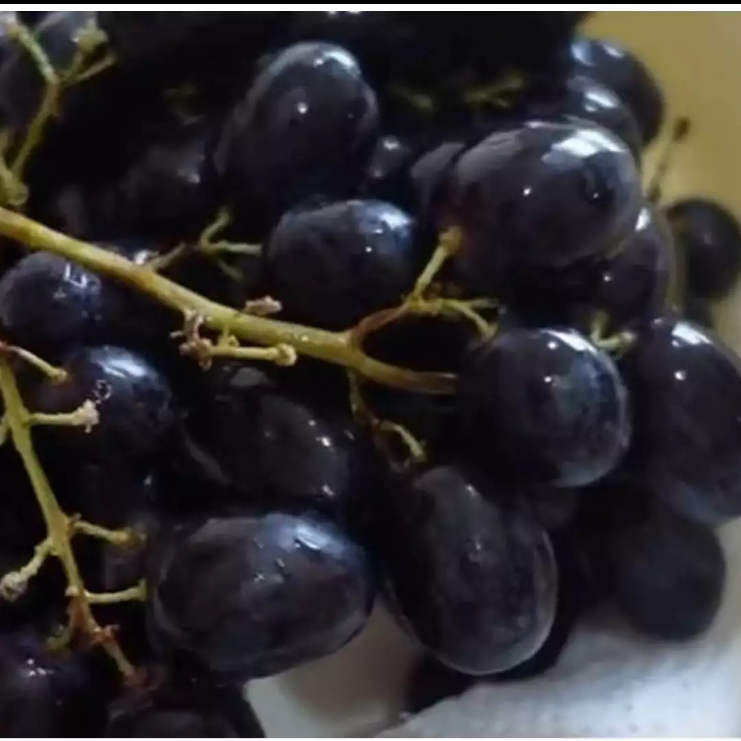 Cara menyimpan buah anggur dengan benar, tetap segar hingga 2 minggu