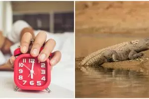 9 Arti mimpi dikejar buaya, menggambarkan kondisi perasaan