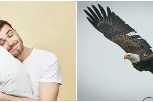 9 Arti mimpi burung elang, menggambarkan perubahan hidup