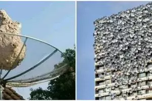 11 Penampakan benda di atap rumah ini bikin lihat dua kali
