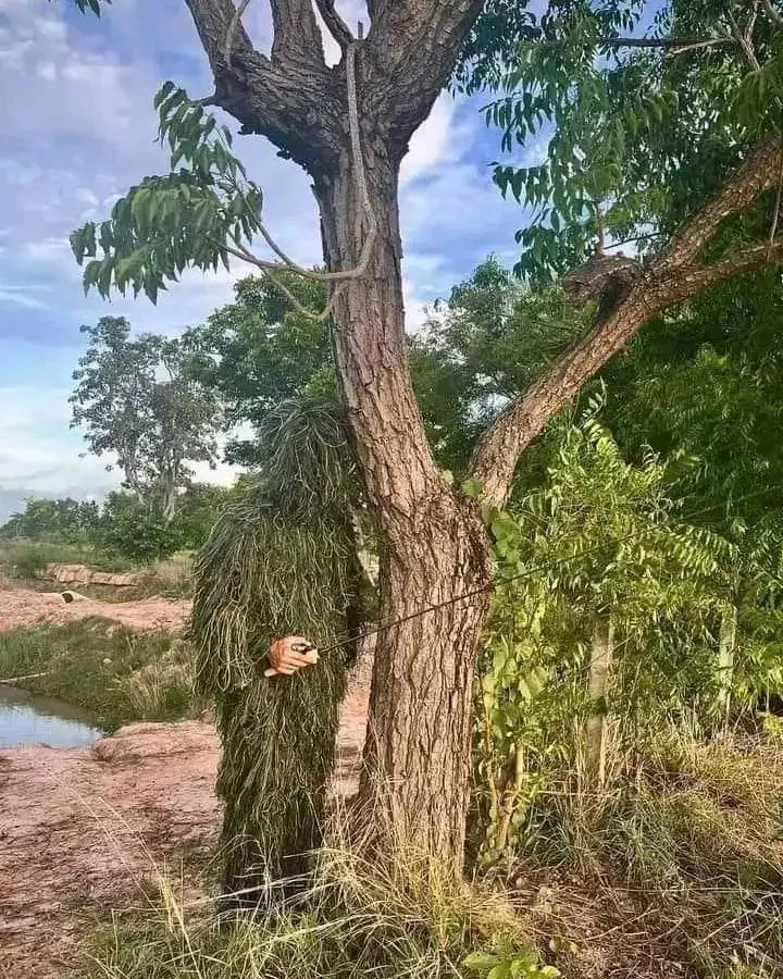 orang di bawah pohon nyeleneh © berbagai sumber