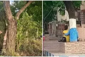 11 Potret lucu orang lagi di bawah pohon, tingkahnya ada aja