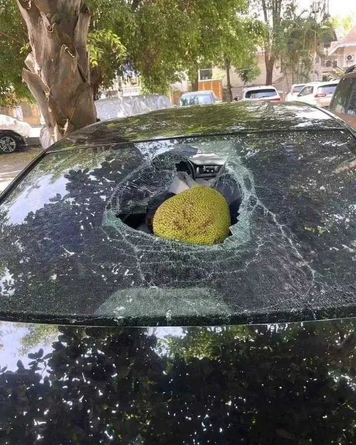 momen apes mobil bikin panik © berbagai sumber momen apes mobil bikin panik © berbagai sumber