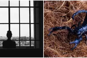 9 Arti mimpi digigit kalajengking menurut primbon, punya makna khusus