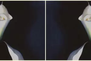 Bunga atau wanita? Jawabanmu ungkap seberapa jujur kamu pada dirimu