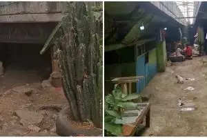 Penampakan permukiman warga di kolong tol, masuk harus menunduk