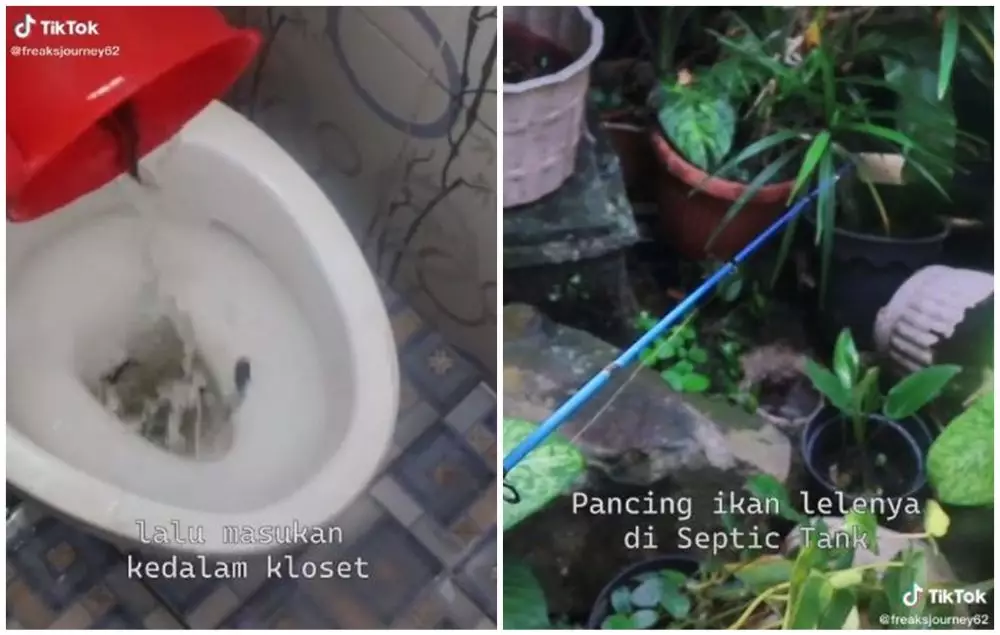 orang kasih tutorial ternak lele lucu © berbagai sumber orang kasih tutorial ternak lele lucu © berbagai sumber