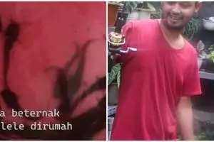 Pria ini kasih tips beternak lele tanpa kolam, endingnya bikin heran