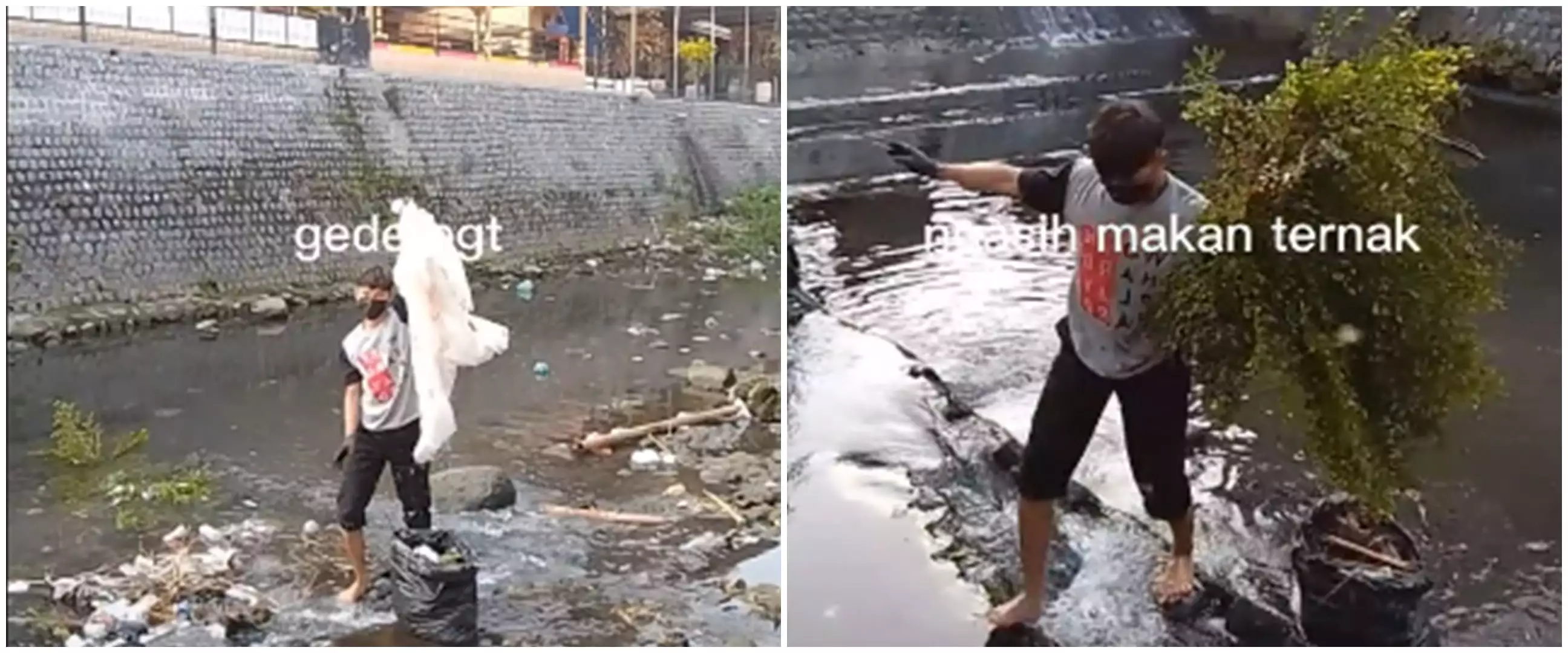 Aksi pemuda bersihkan sampah di sungai tanpa rasa jijik, bikin salut