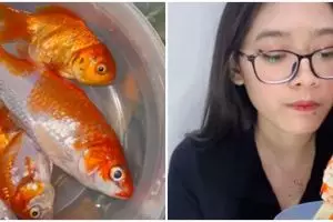 Memasak sup, yang diolah wanita ini ikan hias mahal