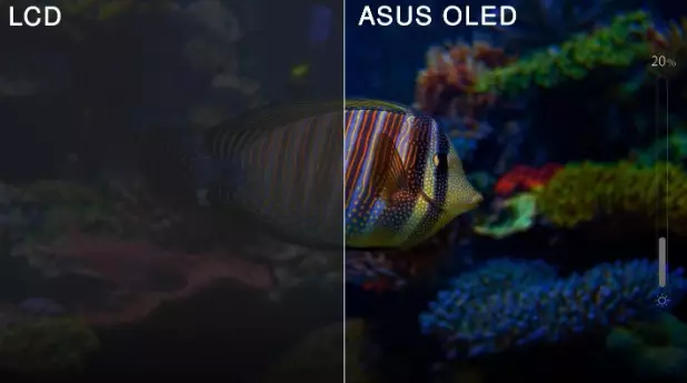 Syarat wajib laptop untuk edit video © ASUS