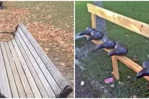 11 Desain kursi di tempat umum ini bikin bingung lihatnya