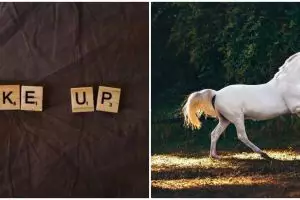 9 Arti mimpi tentang kuda, menggambarkan kondisi perasaan