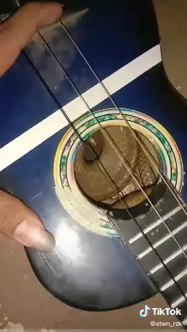pria temukan ular di dalam gitar Tiktok pria temukan ular di dalam gitar Tiktok