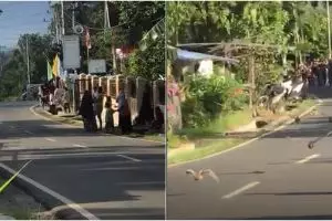 Berkerumun dikira nonton balap liar, ternyata yang balapan tak terduga