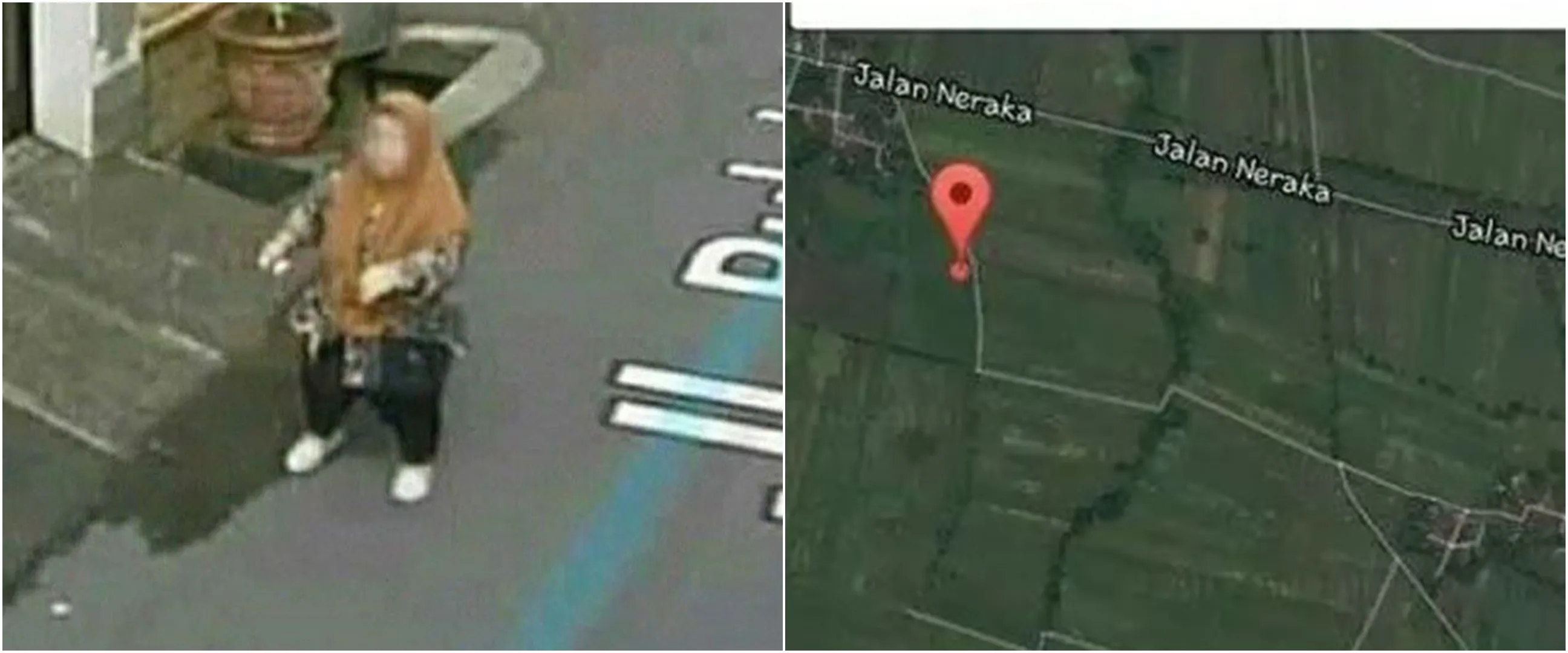 11 Penampakan lucu di Google Maps ini absurdnya bikin nyengir tipis