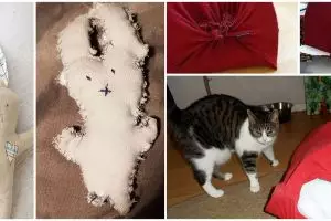 15 Potret lucu gagal mengikuti tutorial di internet, bikin tepuk jidat