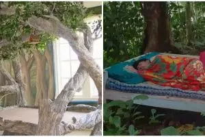 11 Desain kamar bernuansa alam ini penampakannya bikin tepuk jidat