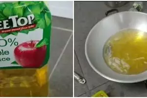 Pria WNI ini goreng ikan pakai jus apel, alasannya absurd abis