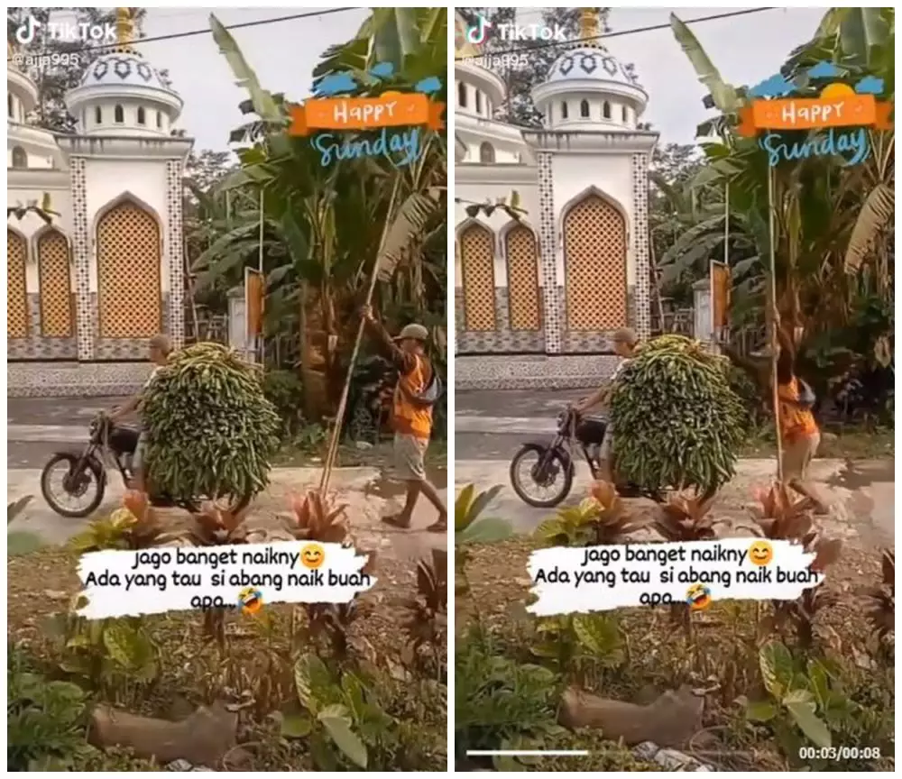 aksi naik ke motor nyeleneh © berbagai sumber