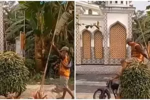 Bak atlet lompat galah, aksi pria naik tumpukan pete ini bikin melongo