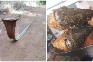 15 Penampakan aneh mirip benda ini bikin kaget, kudu lihat dua kali