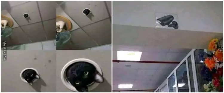 11 Potret CCTV ini menipu mata, bikin lihat dua kali