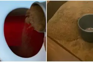 Momen pria pertama kali gunakan toilet pasir ini unik banget