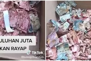 Uang tabungan haji Rp 50 juta milik penjaga sekolah dimakan rayap