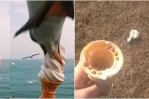 11 Momen apes orang beli es krim ini bikin nyesek banget