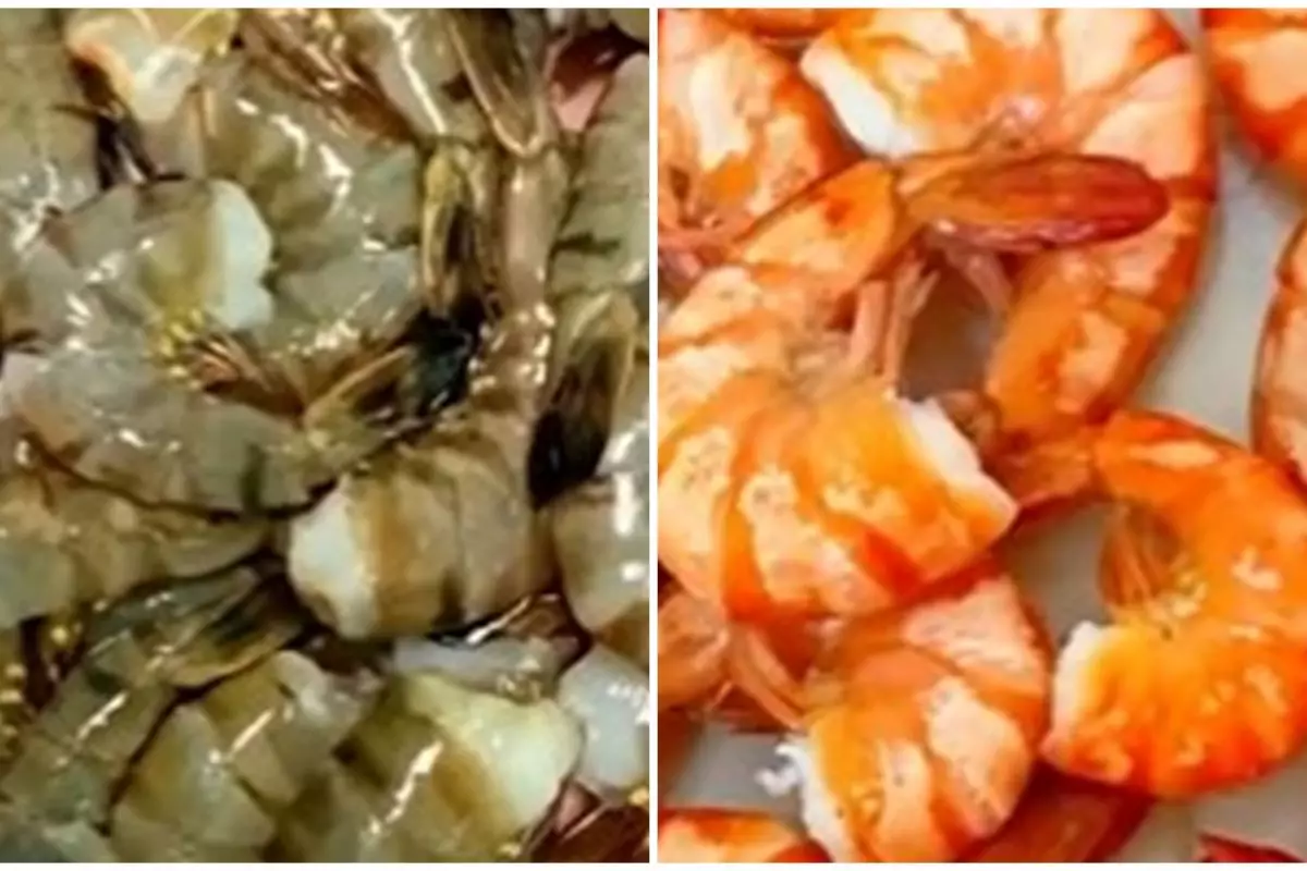Trik merebus udang agar warnanya lebih menarik, antigagal