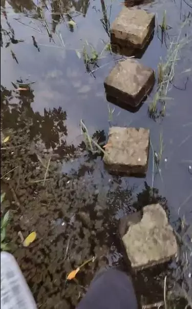 Kurir lewat benteng takeshi Berbagai sumber