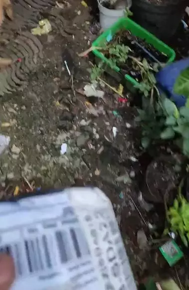 Kurir lewat benteng takeshi Berbagai sumber