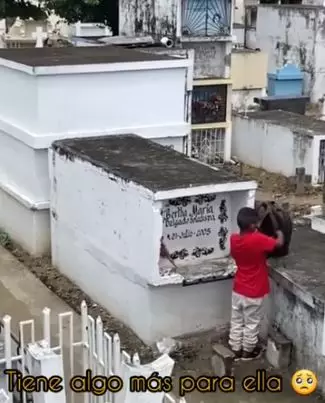 Momen haru anak ziarah ke makam ibunya Berbagai sumber