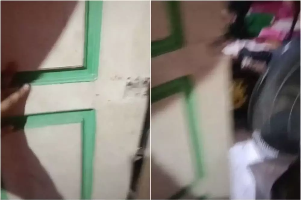 wanita syok kamar tidur jadi kandang © TikTok