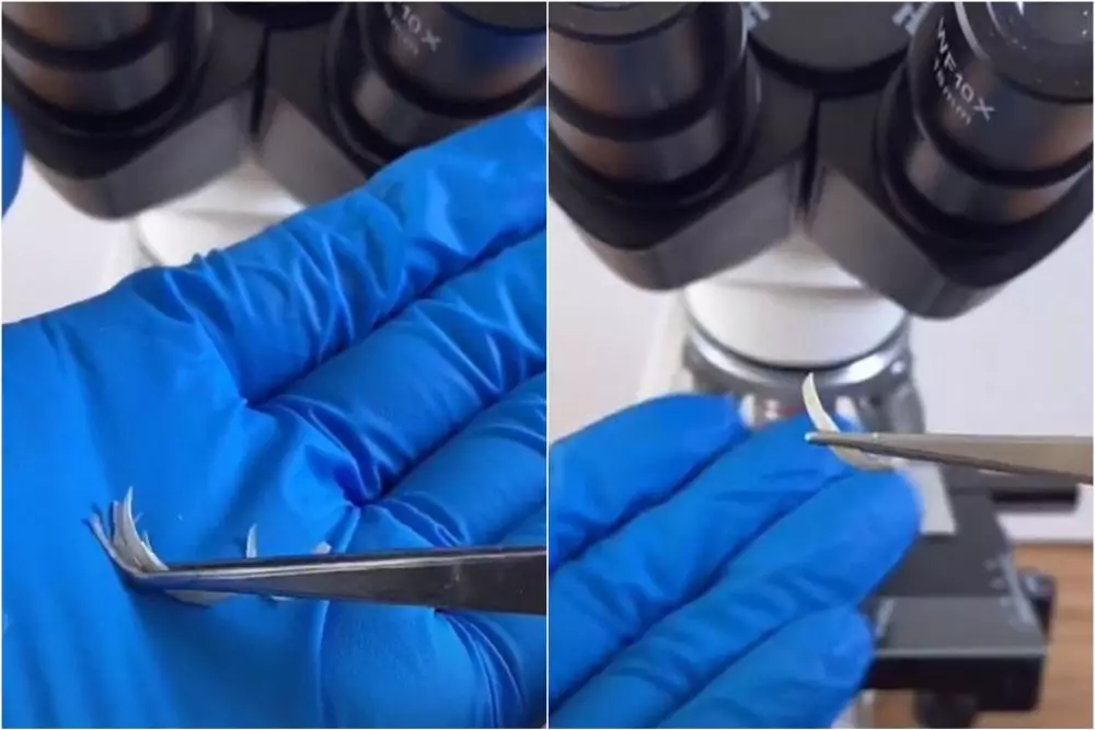 potongan kuku dilihat pakai mikroskop © TikTok