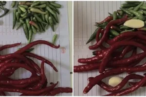 Cara menyimpan cabai tanpa kulkas, tetap segar hingga 2 minggu