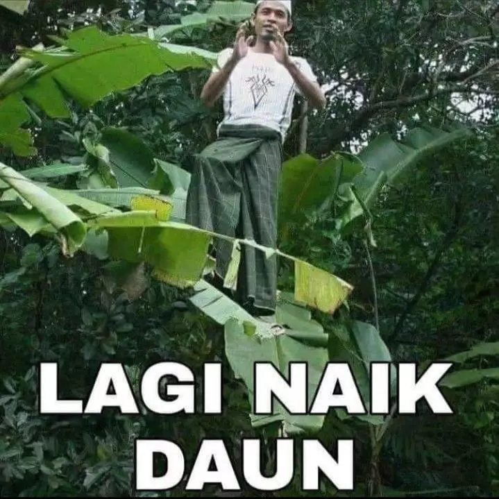 meme benar tapi salah © berbagai sumber meme benar tapi salah © berbagai sumber