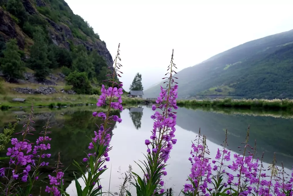 Rahasia foto refleksi © berbagai sumber
