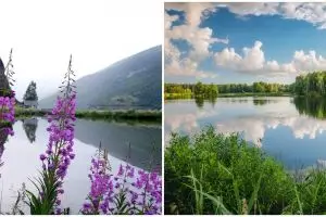 7 Rahasia foto refleksi yang memukau, biar dikira editan