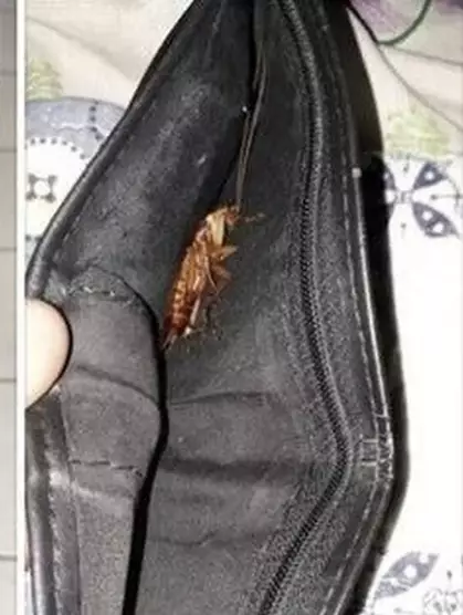 Potret isi dompet saat akhir bulan © 2022 berbagai sumber